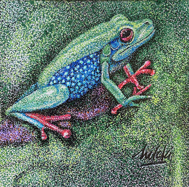 Dotted Forest Frog