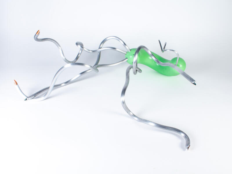 sprouting fingerling