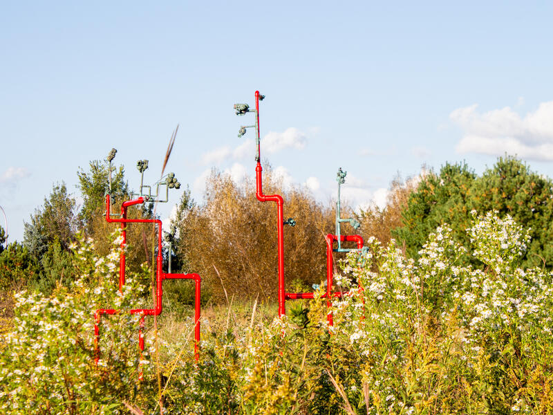 Pleasure in the Confusion of Boundaries II