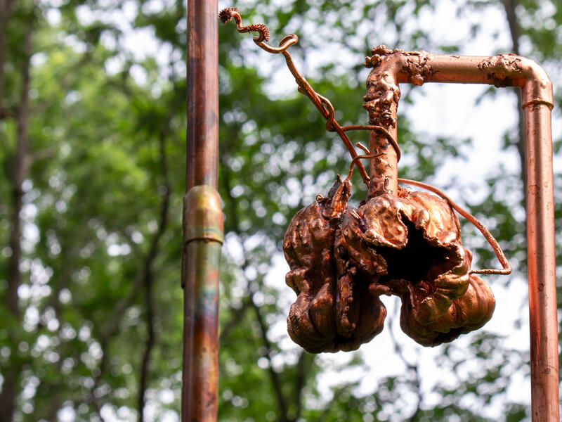 Molting in the Current detail