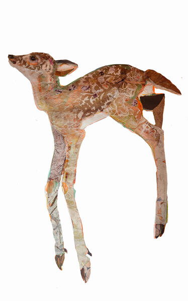Fawn, Runneth Over (reversed)