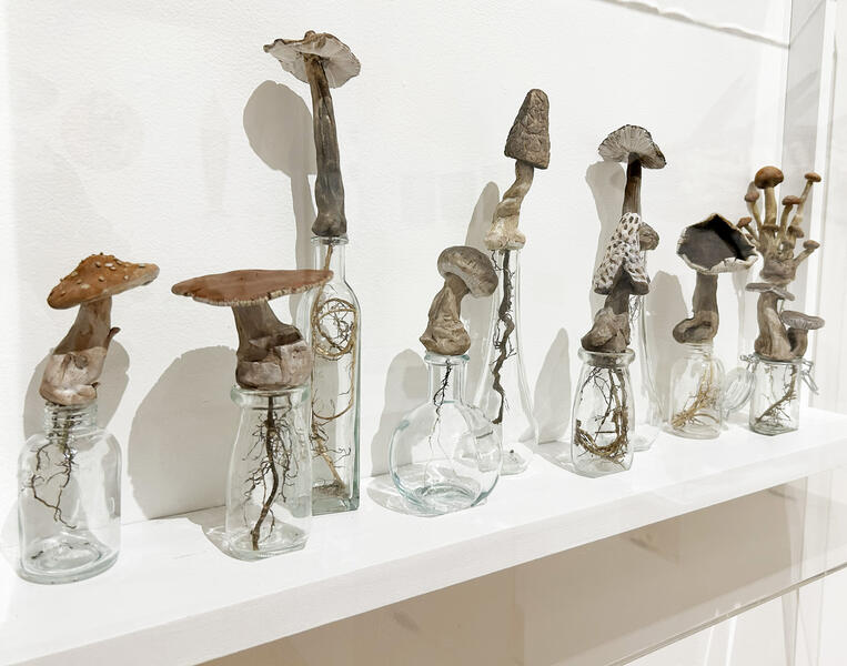 Fungus Among Us Cropped 