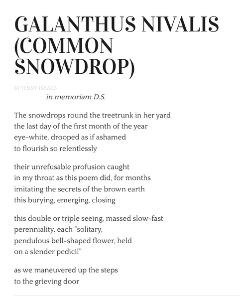 Galanthus Nivalis (Common Snowdrop) - Thimble Literary Magazine, Vol. 8 No. 1 Summer 2025