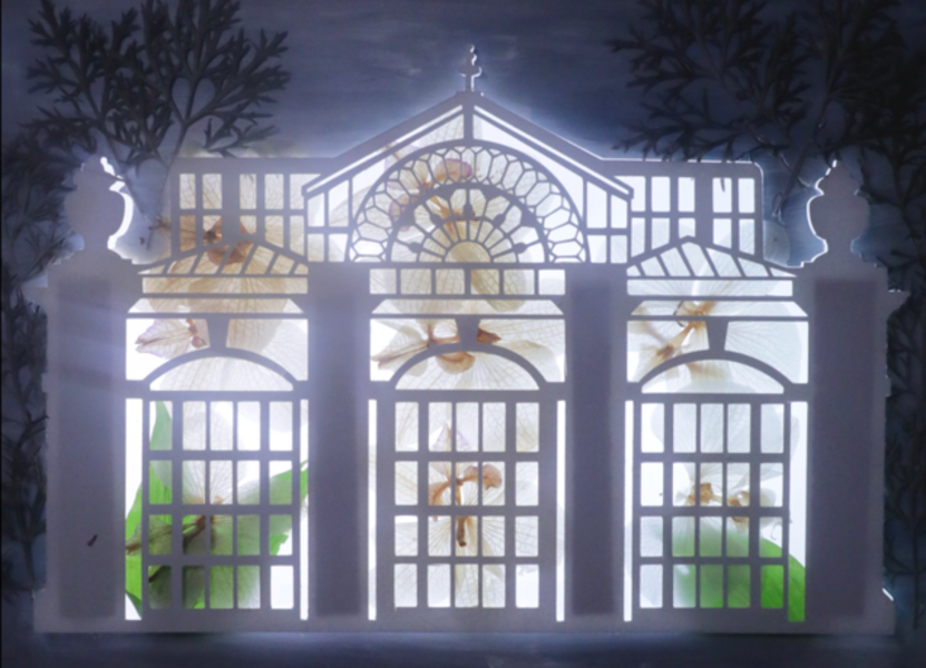 Animated Curiosities - Still from Orchidelerium