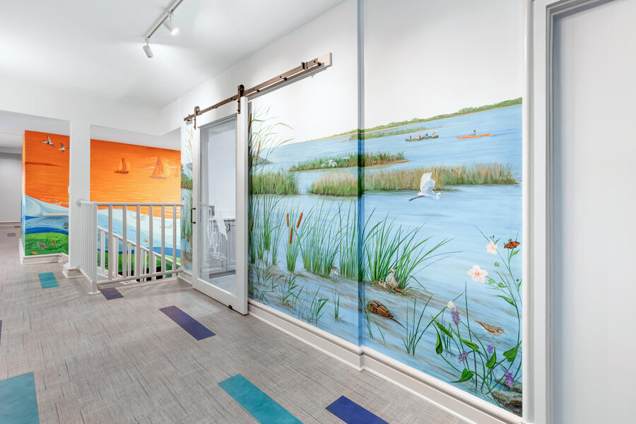 Our Roots Run Deep in the Chesapeake: Chesapeake Marshes