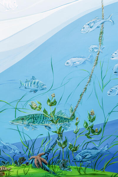 Our Roots Run Deep in the Chesapeake: Underwater detail