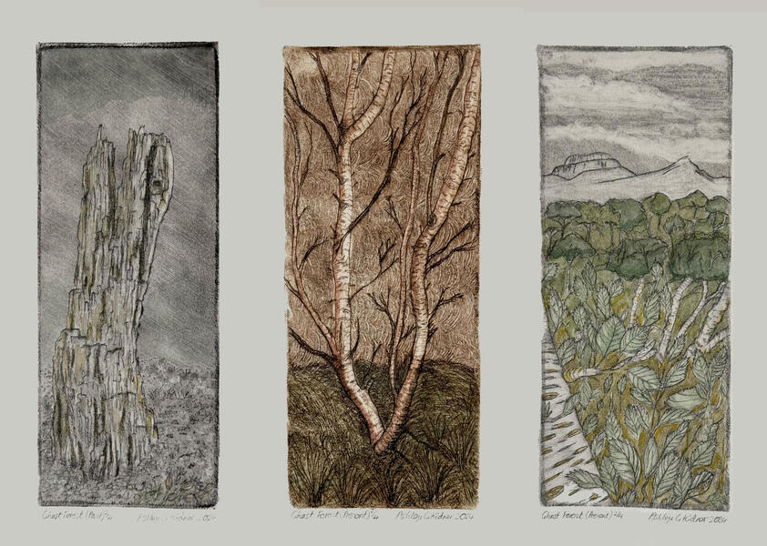 Rebirch: Awakening of a Ghost Forest