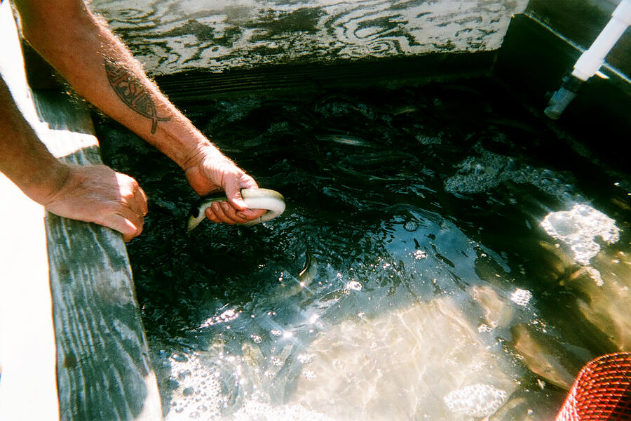 Time Enough To Go #8