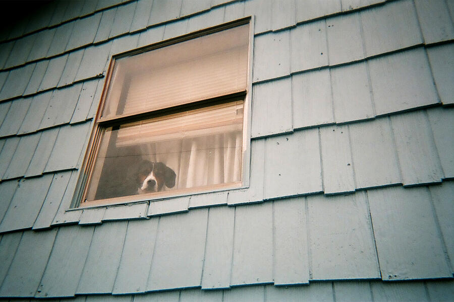 Time Enough To Go #9