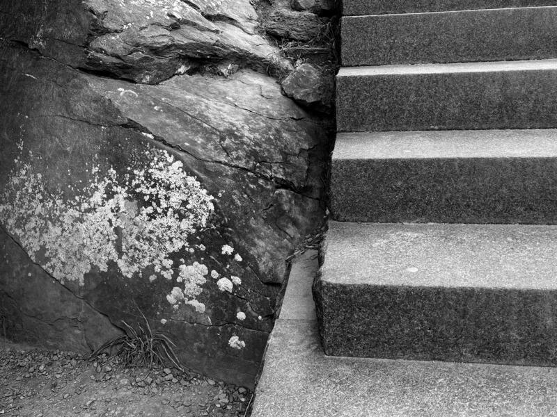 from Landscape After Battle