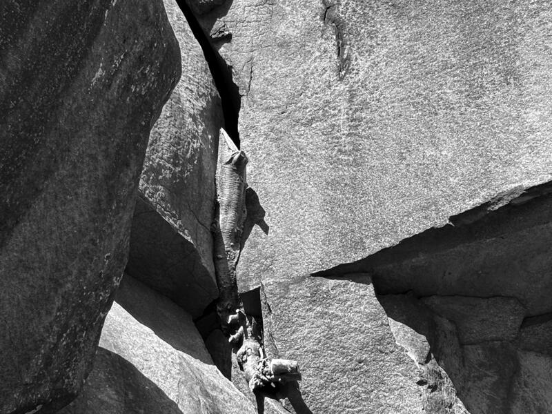 from Landscape After Battle