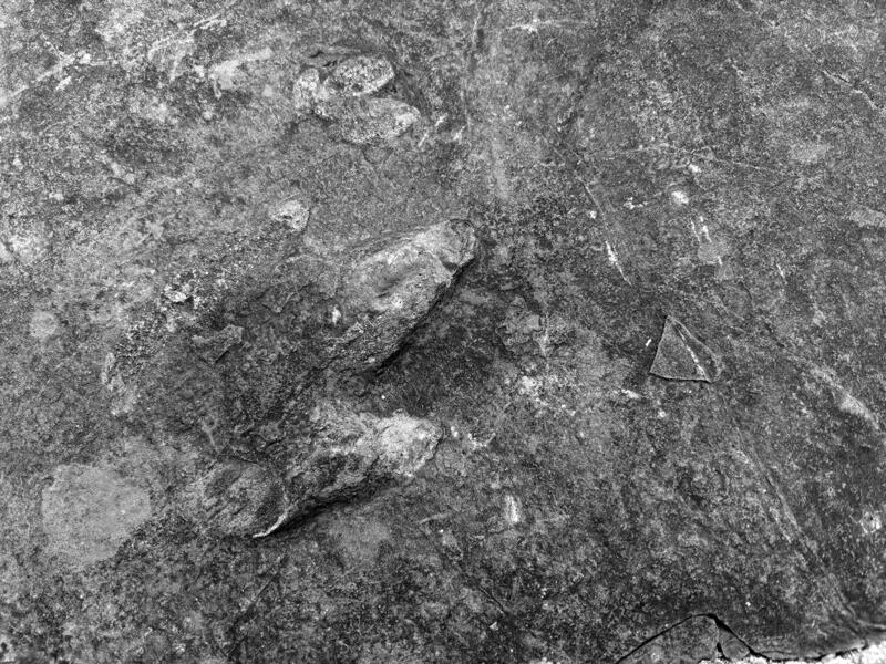 from Landscape After Battle (dinosaur footprint)