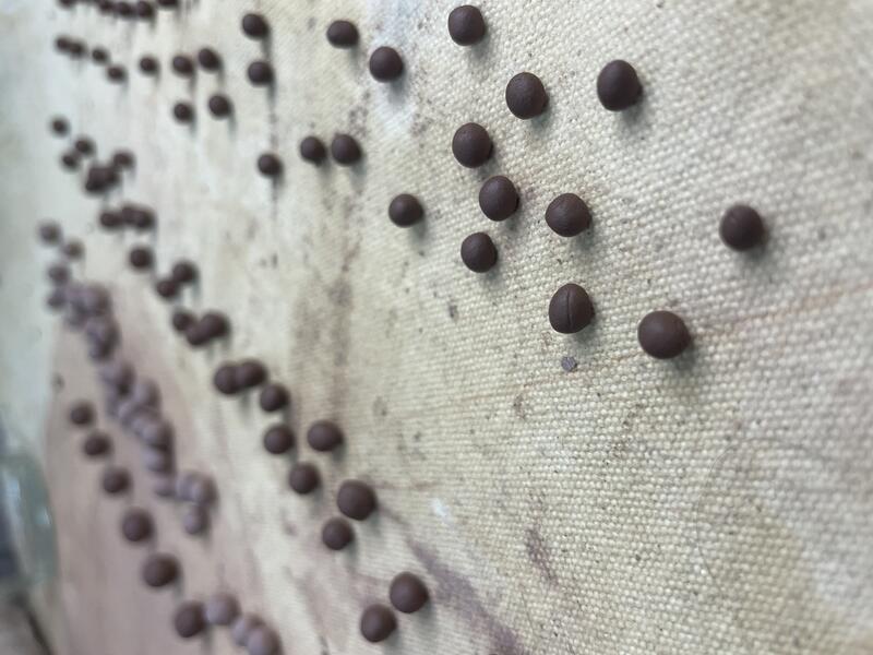 Sweet Gum Rattles - process