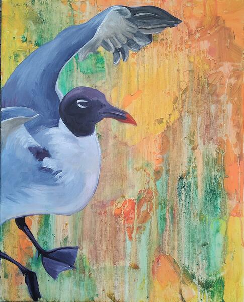 Seagull with Orange Background