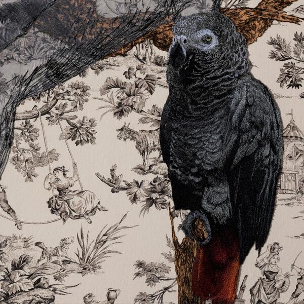 Detail of stiched  Gray African Parrot 