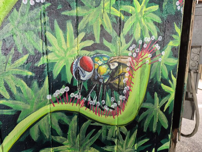 Mural for 2025 Artscape Urban Jungle Project 