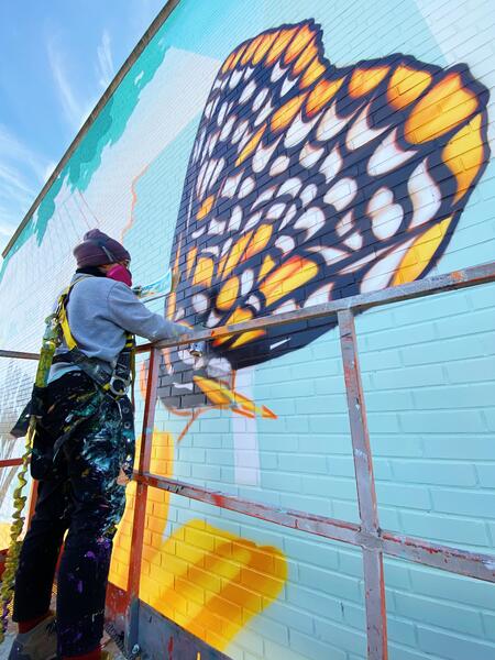 Belvedere Square, in Progress