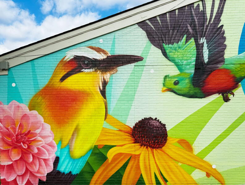 Glenmont Park Activity Building, Left Side 