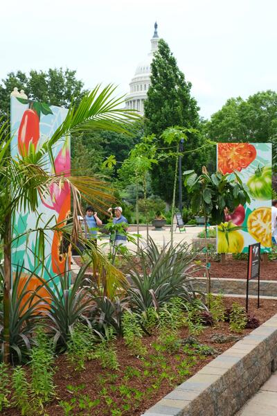 US Botanic Gardens, Mural Panels in Situ