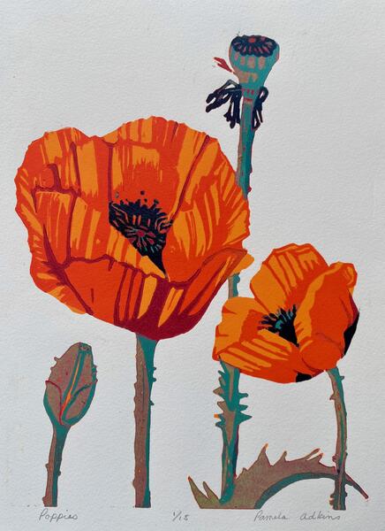 Poppies