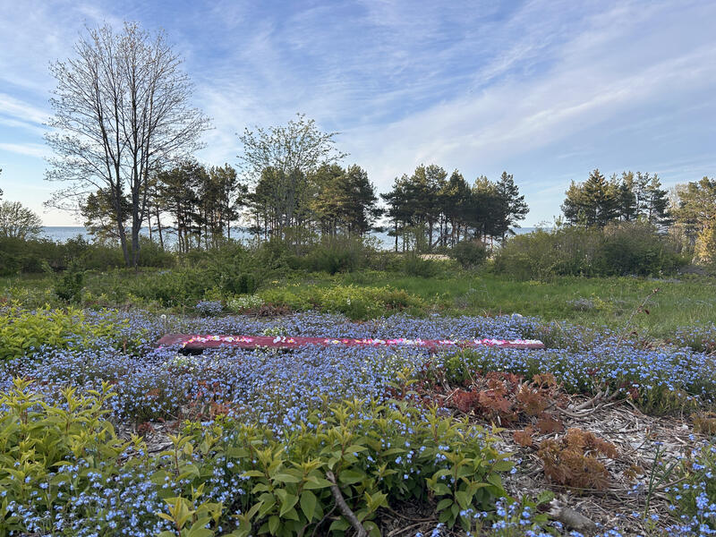 Field (After Jim Hodges)