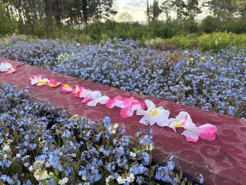 Field (After Jim Hodges)