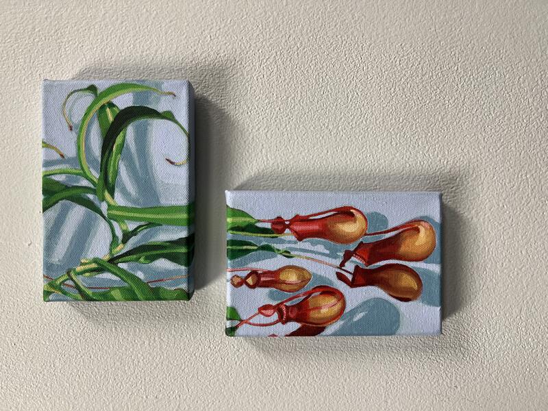 Generations (Pitcher Plant Diptych) 