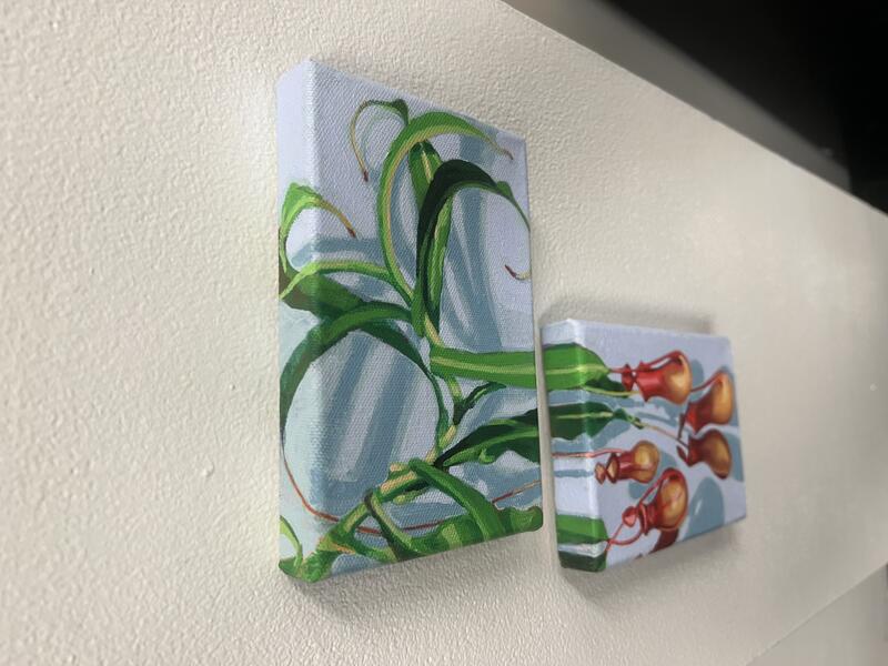 Generations (Pitcher Plant Diptych) top view