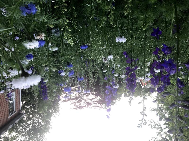 The Brick Hill Plant Lab