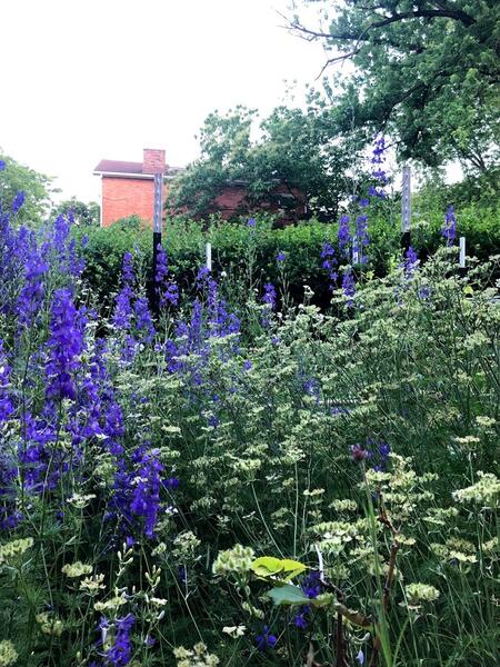 The Brick Hill Plant Lab