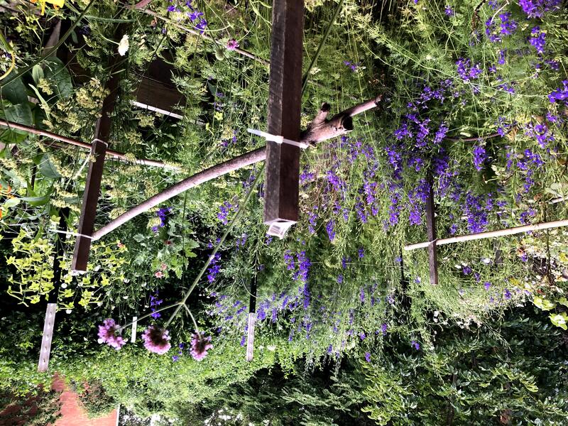 The Brick Hill Plant Lab