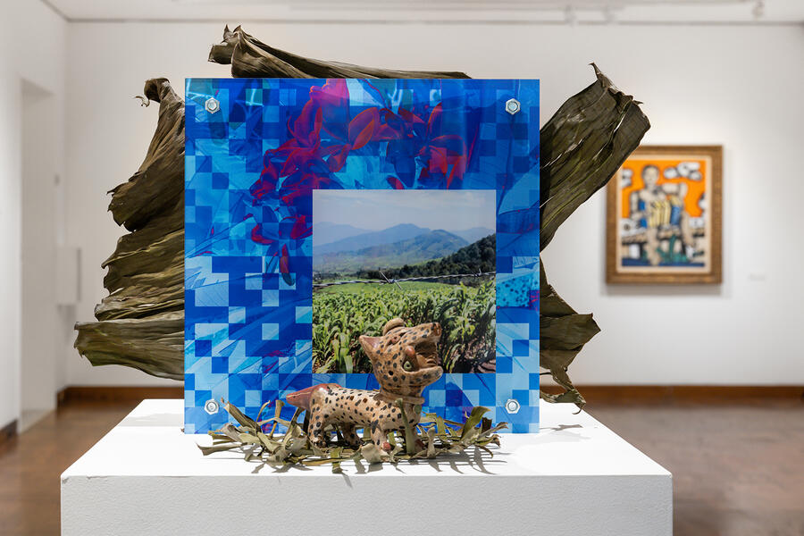 La Tierra Nunca Olvida (The Land Never Forgets)