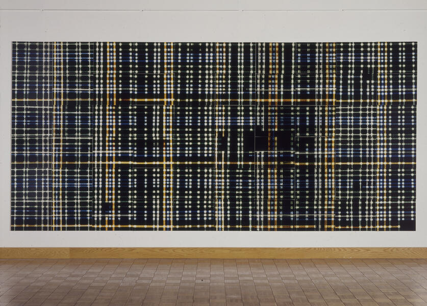 Plaid (the large plaid)