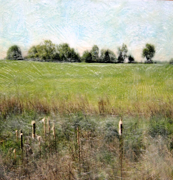 Layers-Maryland Farm Land-#1.jpg