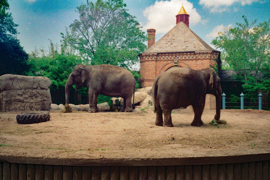 Lincoln Park Zoo, Chicago, IL