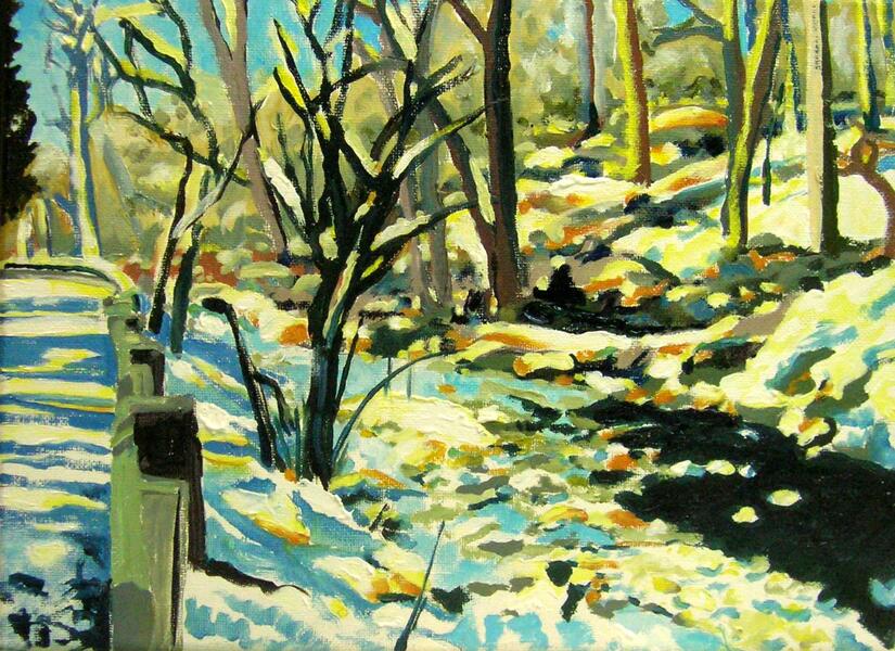 THE LITTLE GUNPOWDER IN SNOW