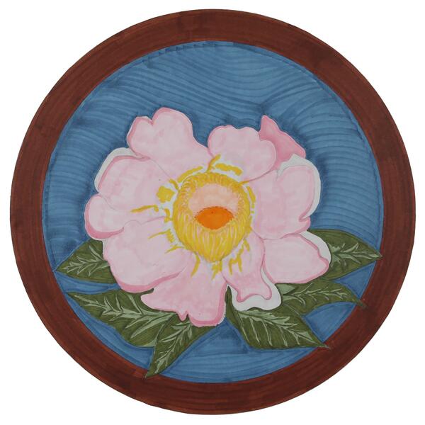 Gustavia genus in the Amazon