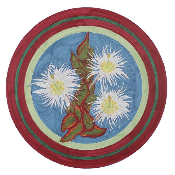 Night Blooming Cactus