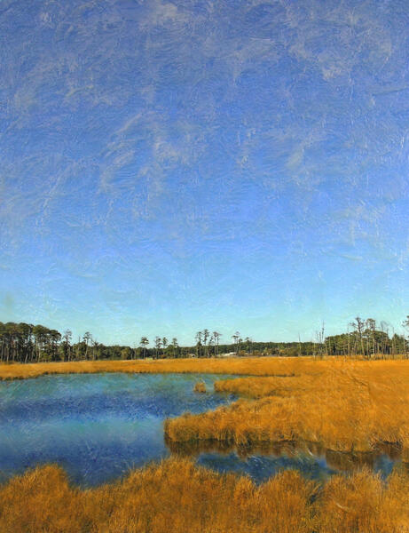 Marsh