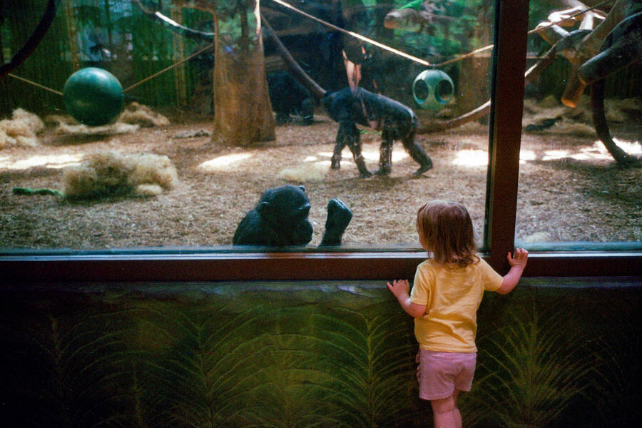 Maryland Zoo, Baltimore, MD