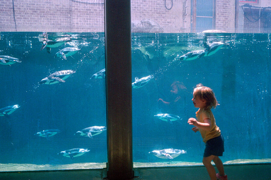 Maryland Zoo, Baltimore, MD