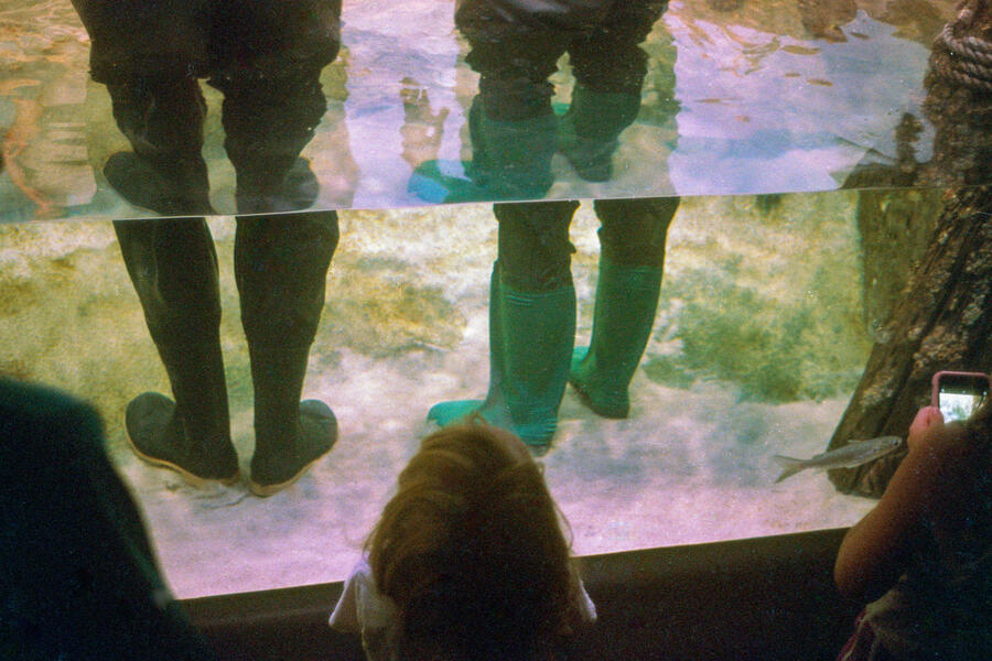 National Aquarium, Baltimore, MD