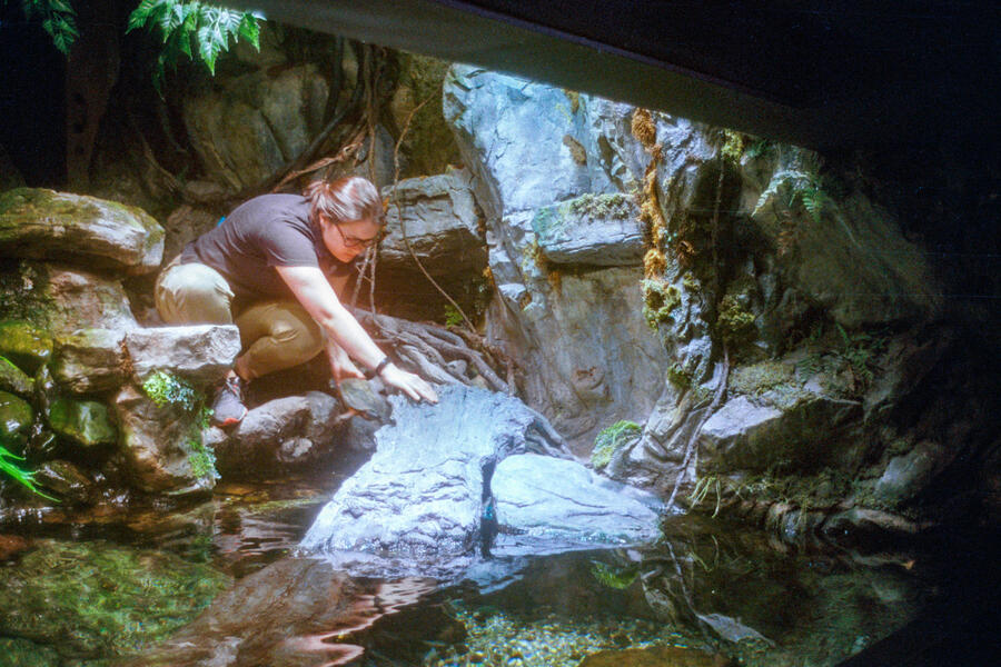 National Aquarium, Baltimore, MD