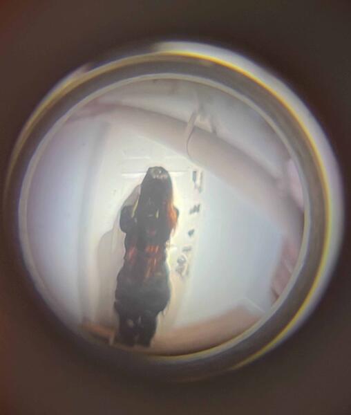 Girls Who Lock Their Doors at Night (detail)