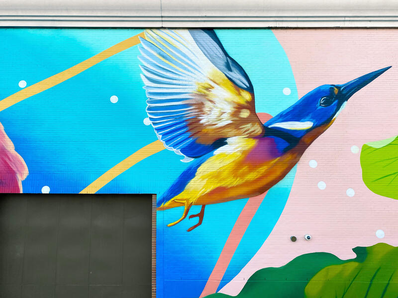 DC Walls 2020, Right Kingfisher