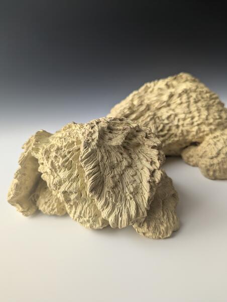 Kelsey's Puppy (Detail View)