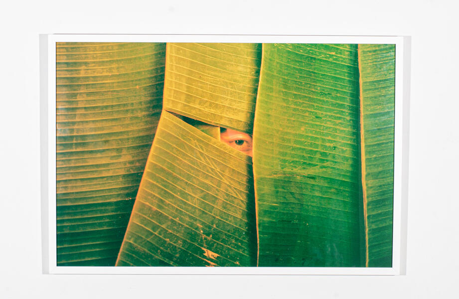 They Tried to Make Me Believe in White