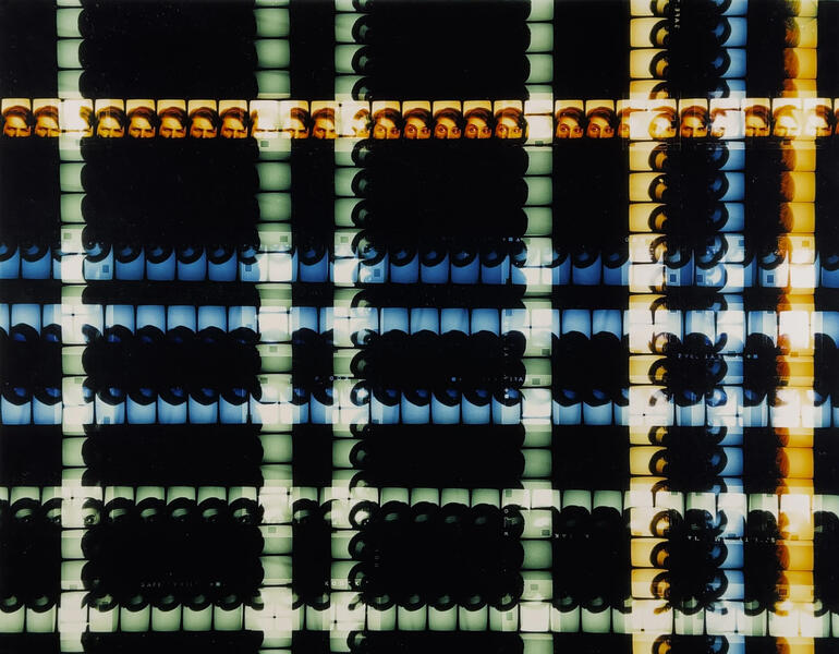 Plaid (the large plaid), detail