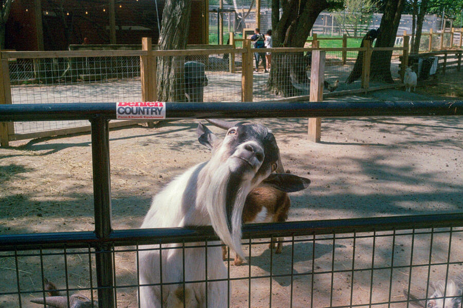 Plimpton Park Zoo, Rising Sun, MD