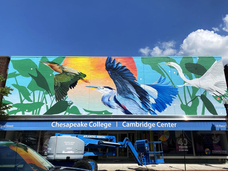 Chesapeake College Cambridge Center 